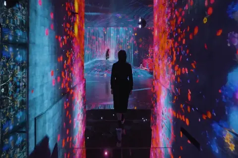 teamLab Borderless Tokyo: MORI Building DIGITAL ART MUSEUM