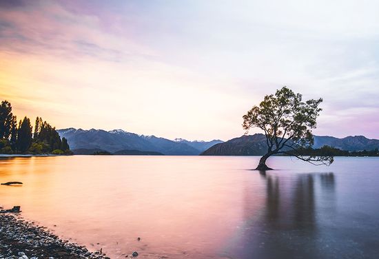 Wanaka